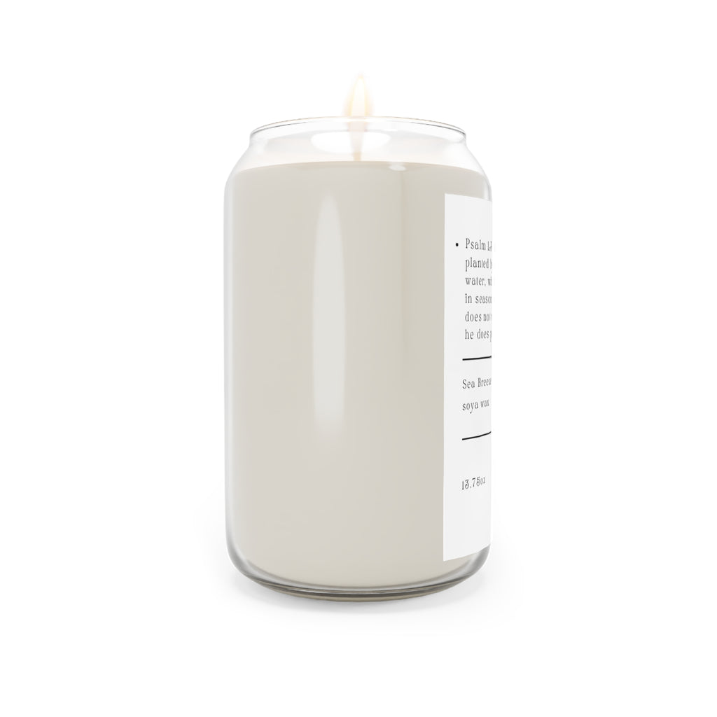 Psalms 1:3 Sea Breeze Soy Candle 13.75oz